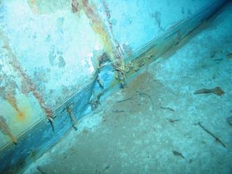 Stbd side of ship's inverted bow